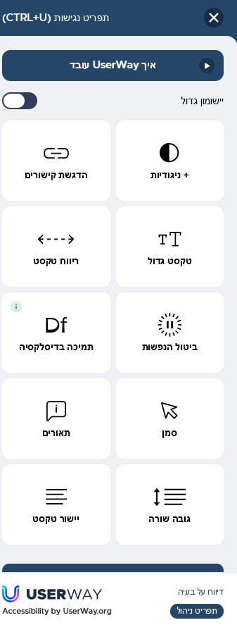 כלי נגישות באתר